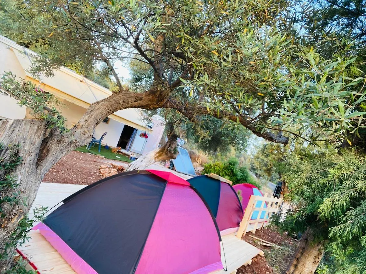 Dhërmi Adventure Camping酒店 0*,  阿尔巴尼亚